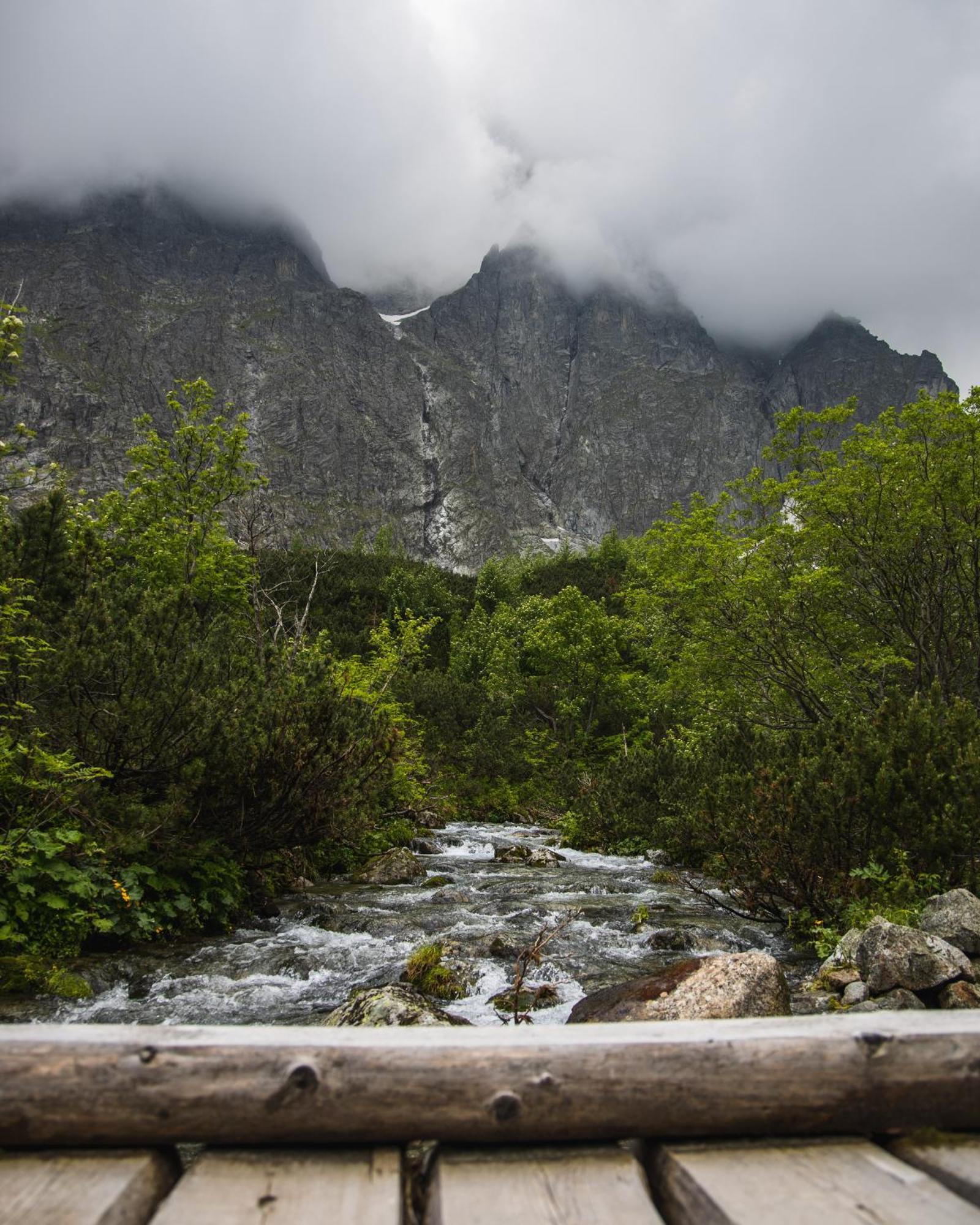 Apartmany Lesy A Luky - V Srdci Tatier Vysoké Tatry 外观 照片