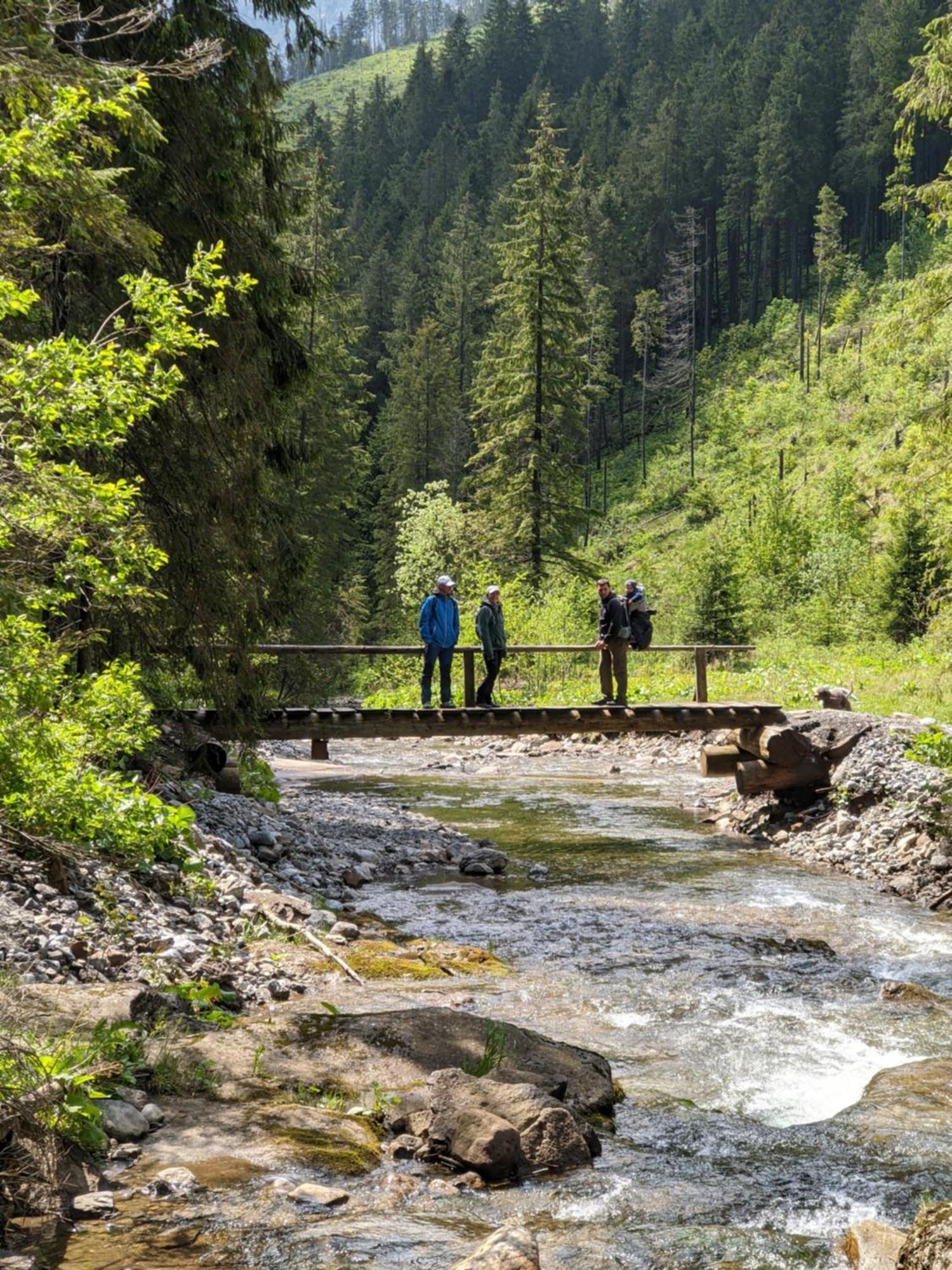 Apartmany Lesy A Luky - V Srdci Tatier Vysoké Tatry 外观 照片